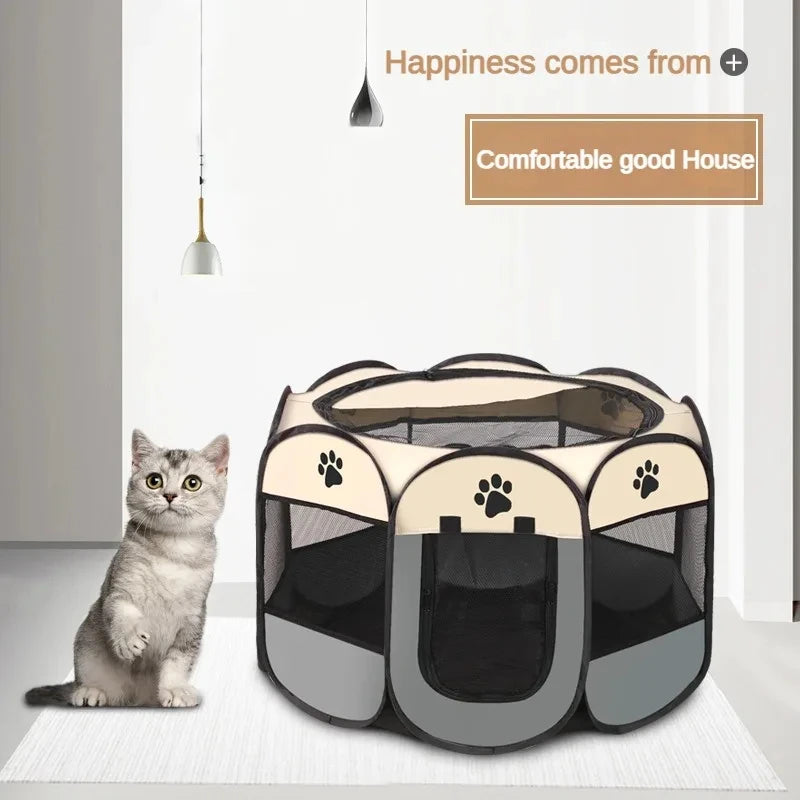 Eine graue Katze sitzt neben einem faltbaren achteckigen Zelt für Katzen und Hunde auf einem weißen Teppich.