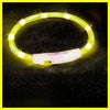 USB-aufladbarer LED-Hundehalsband