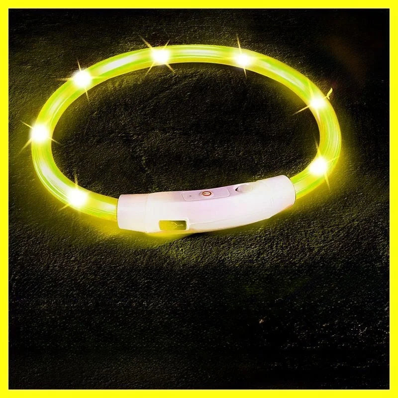 USB-aufladbarer LED-Hundehalsband