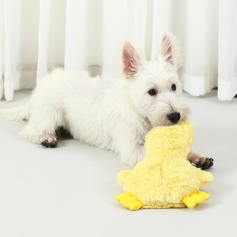 Squeaky Duck Plush Toy for Dogs and Cats