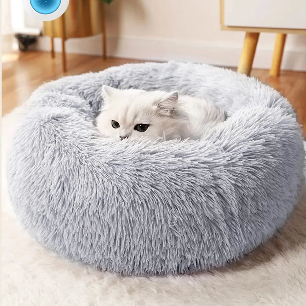 Flauschiger grauer Katzennestbett mit einem weißen Kätzchen, das auf einem hellen Teppich ruht.