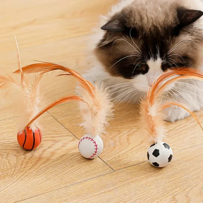 Ein flauschiger Kater interagiert mit einem orange-weißen Ballspielzeug mit Federn und Fußball.