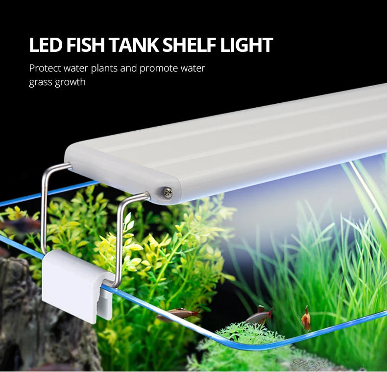 Lampe LED à clipser pour aquarium