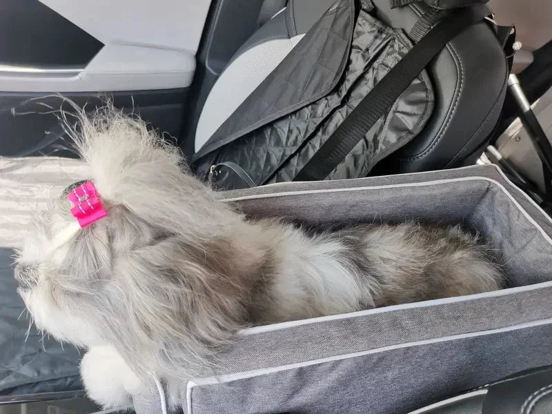 Portable Car Safety Seat for Small Dogs and Cats