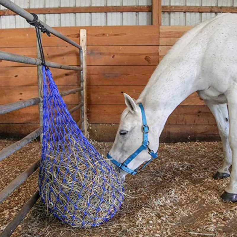 A white horse is shown interacting with a blue mesh hay net in a wooden enclosure.