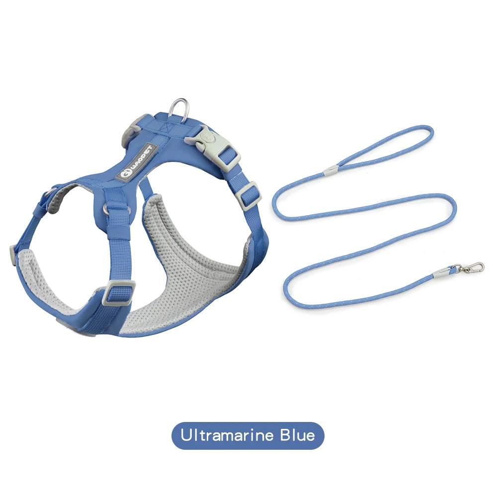 A blue dog harness and matching leash set for an adjustable dog harness.