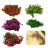 Lifelike Artificial Climbing Vine for Miniature Landscapes