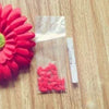 Colorful Soft Silicone Nail Caps for Cats and Dogs with Adhesive