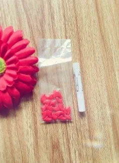 Colorful Soft Silicone Nail Caps for Cats and Dogs with Adhesive