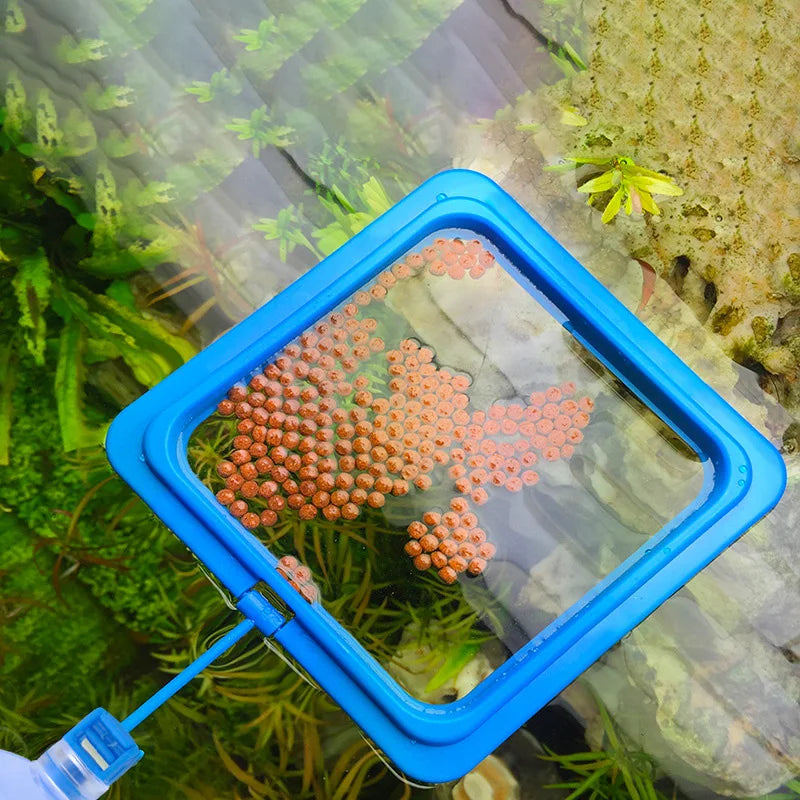 Schwimmender Futterring mit Saugnapf