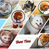 Clear PVC Recovery Cone Collar for Dogs and Cats