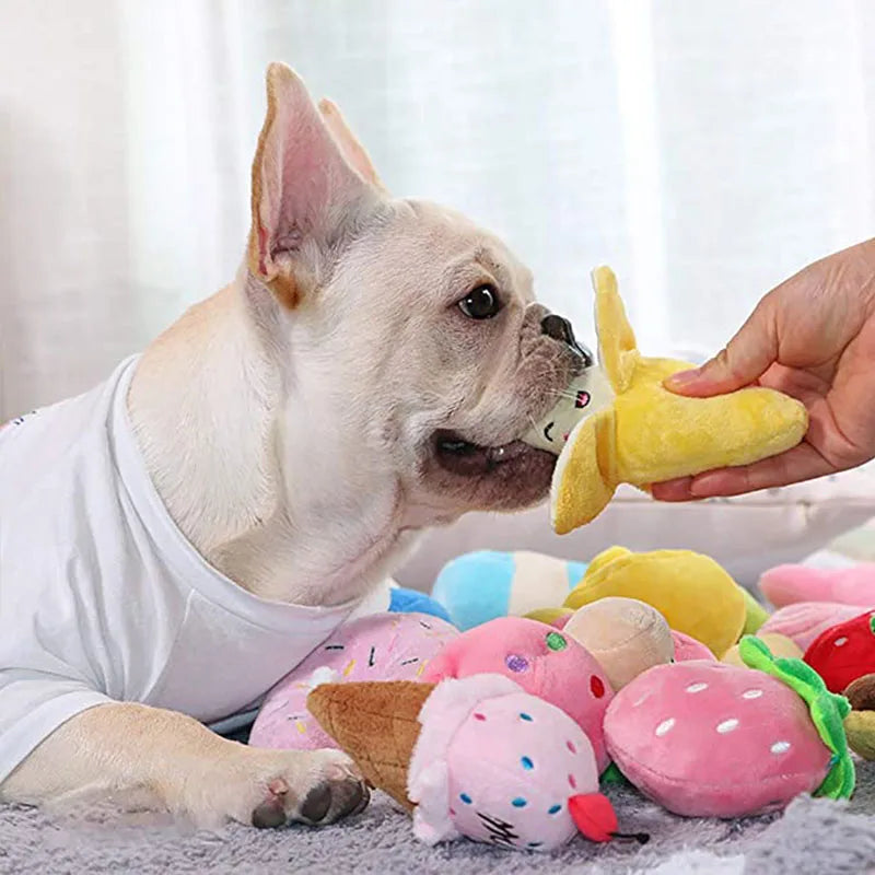 A light-colored dog is shown interacting with a yellow bone-shaped squeaky plush toy.