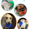 Bite-Resistant Squeaky Dog Chew Toy with Spiky Teething Ring
