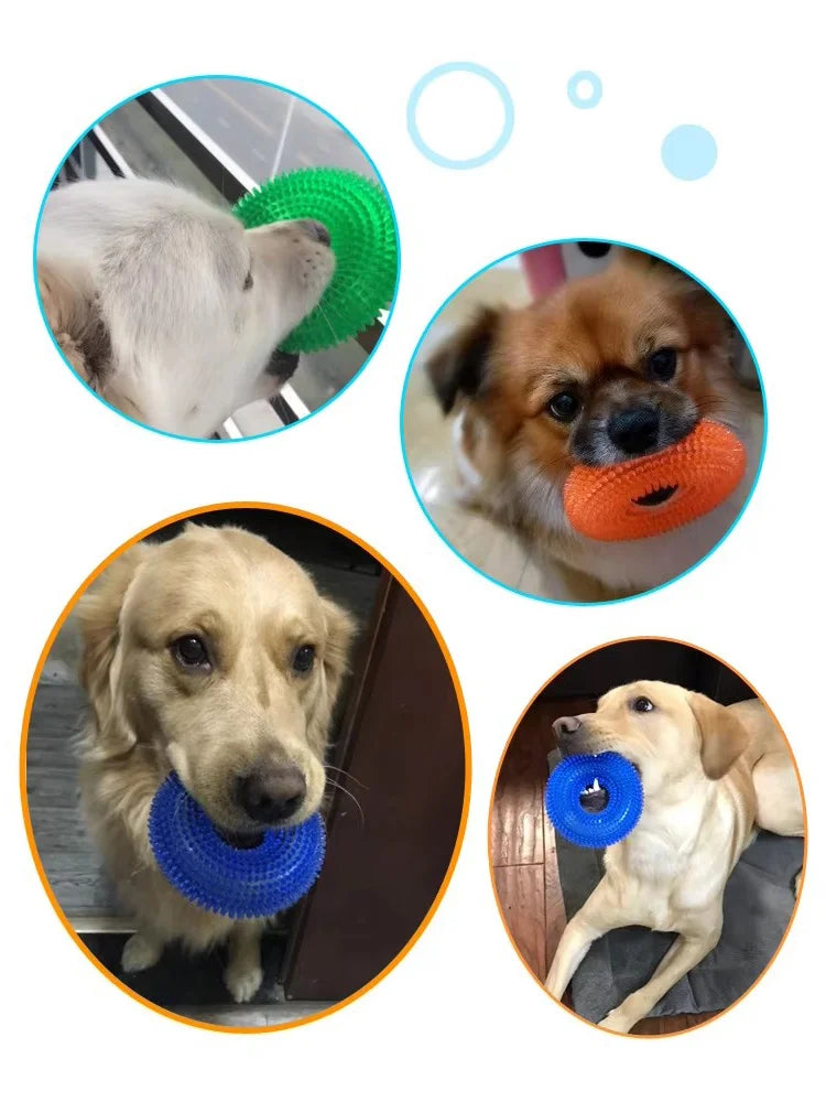 Bite-Resistant Squeaky Dog Chew Toy with Spiky Teething Ring
