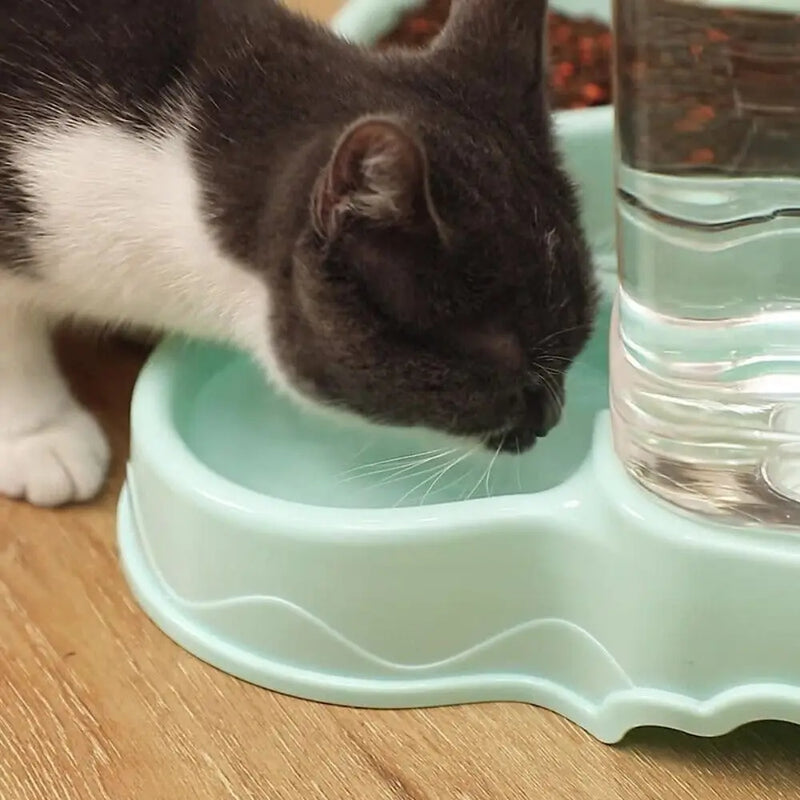 Distributeur de nourriture et fontaine à eau transparents 3,8 L pour animaux