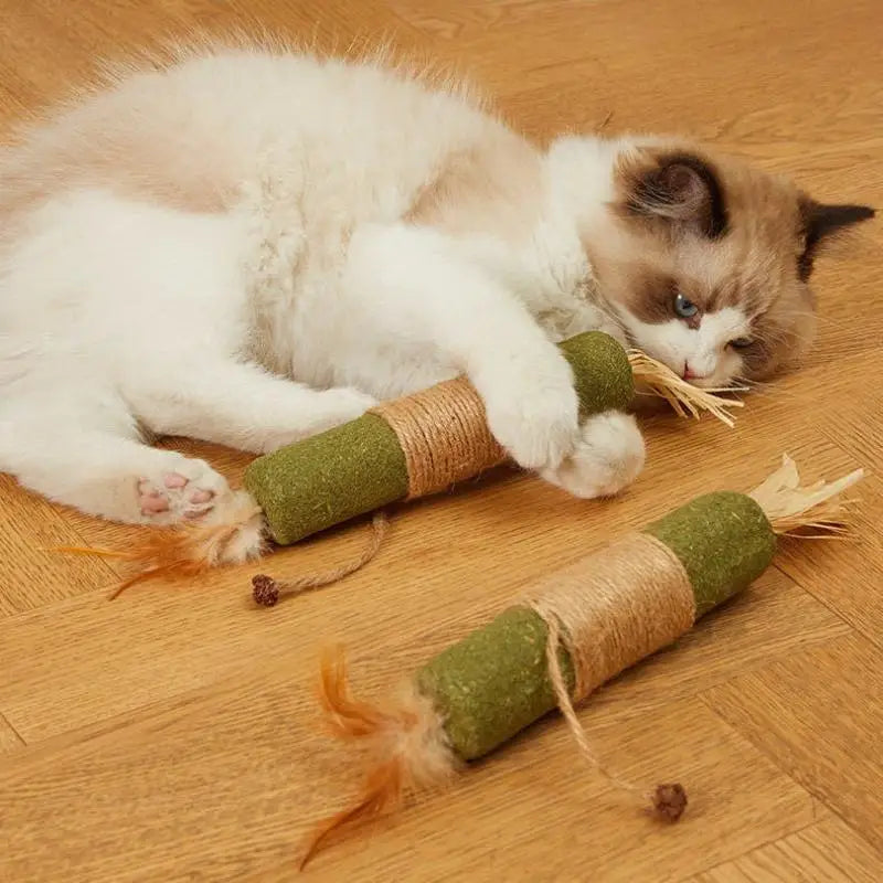Natural Wooden Cat Teething Sticks with Sisal Rope