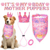 Pet Birthday Party Accessory Set with Bandana, Tutu Skirt & Hat