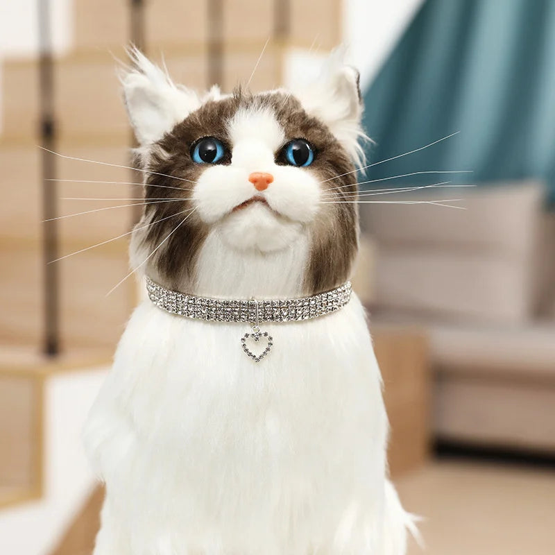 A fluffy gray and white cat wearing an elegant rhinestone collar with a heart pendant.