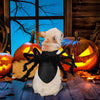 Halloween Spider Costume for Small Dogs and Cats