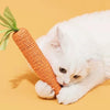 Juguete para Mamar de Gato con Forma de Zanahoria
