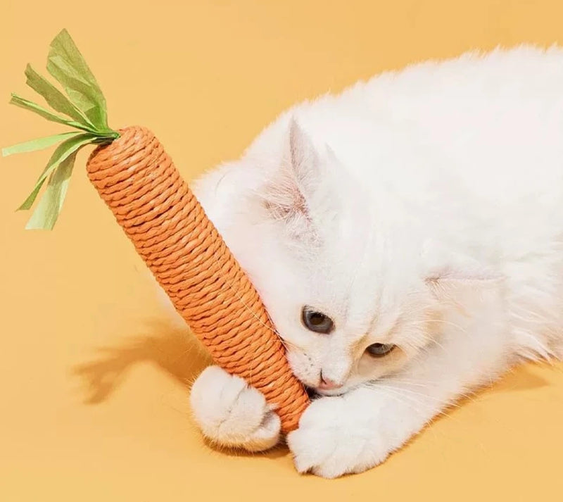 Juguete para Mamar de Gato con Forma de Zanahoria