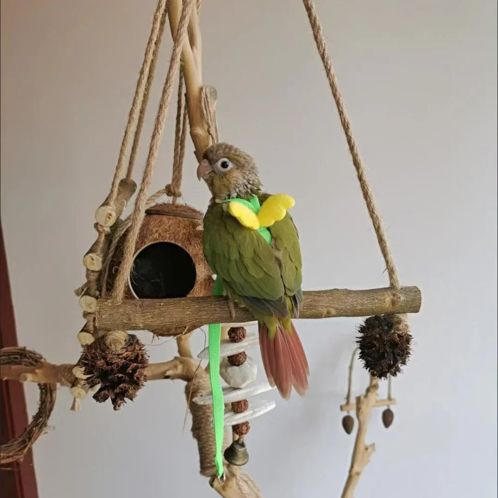 Adjustable Parrot Harness and Leash Set for Small Birds