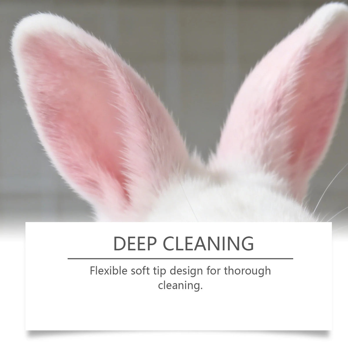 Close-up of a pink and white rabbit ear with a flexible tip cleaning tool.
