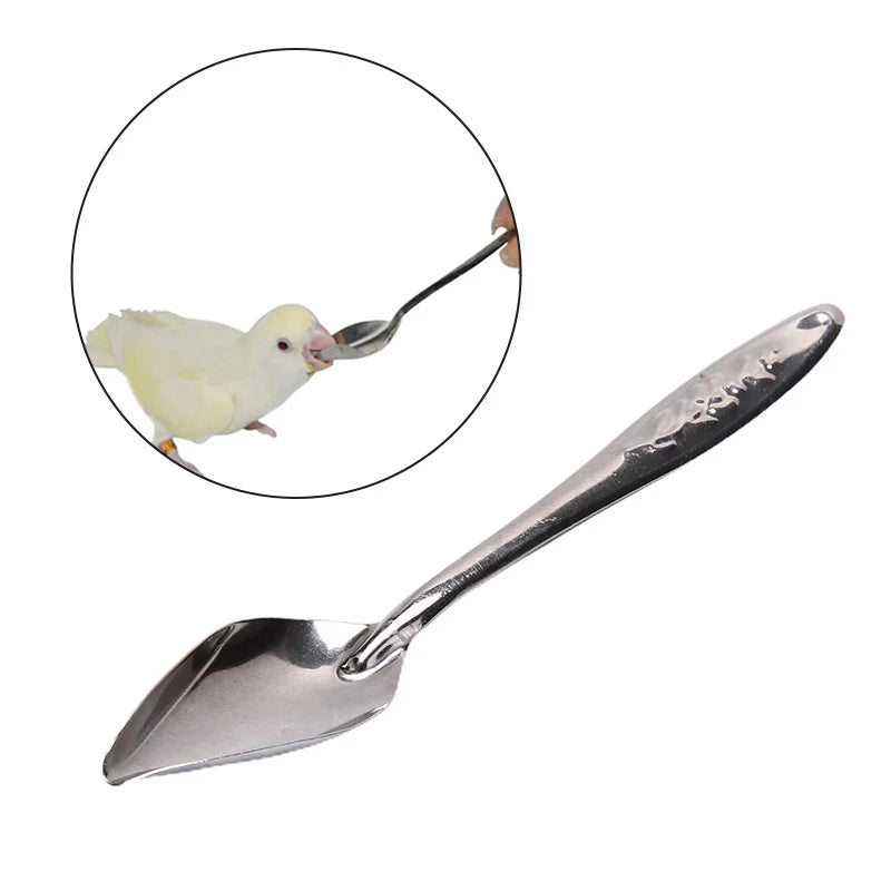 A silver parrot feeding syringe with a soft hose is shown next to a small white bird.
