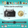 A black rechargeable anti-bark dog collar shown next to various small dogs and a gold coin for size reference.