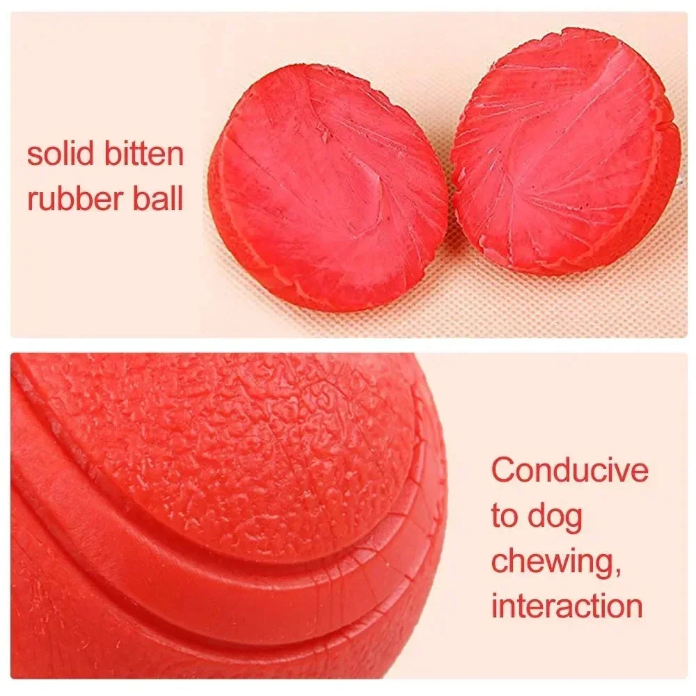 A close-up of a solid red rubber ball designed for dog chewing and interaction.