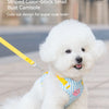 Striped Color-Block Dog Harness with Matching Leash
