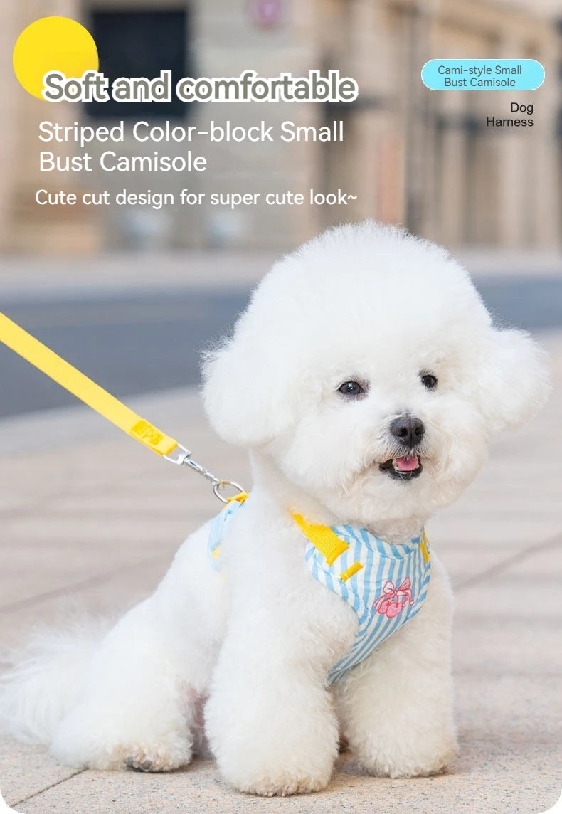 Striped Color-Block Dog Harness with Matching Leash