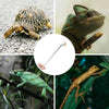 Pinzas de Acero Inoxidable para Plantas de Acuario con Codo