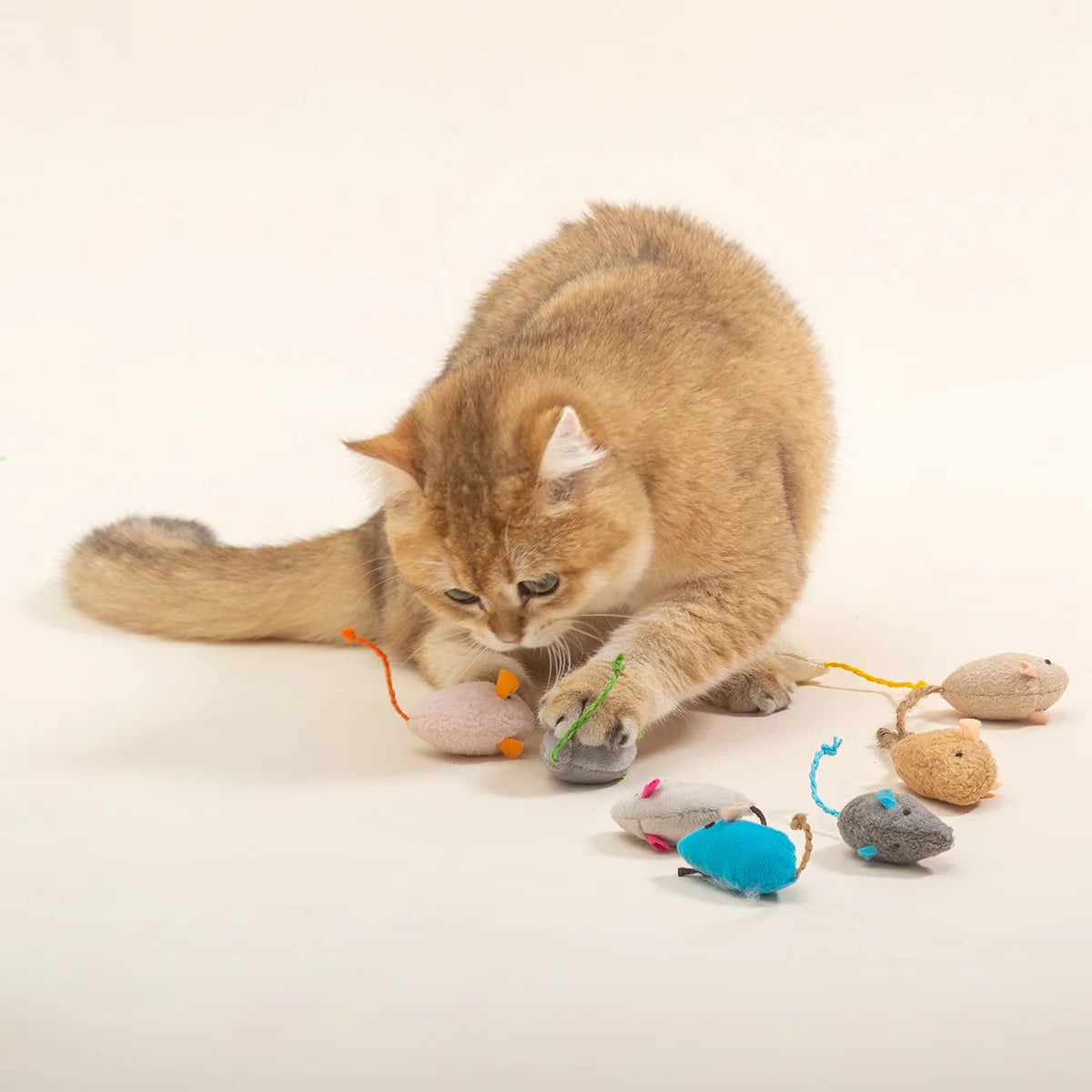A tabby cat is interacting with various small, soft mice toys made of fabric and plastic.