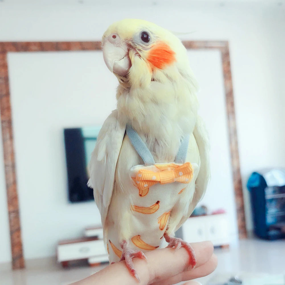 Ein gelb-orange Papagei in einem Fluganzug-Windel auf der Hand einer Person.
