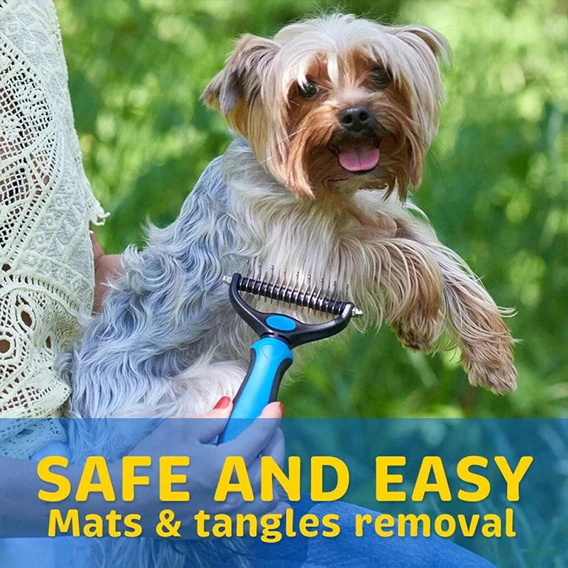 Un chien est en train d'être toiletté avec un peigne antipelliculaire bleu pour retirer les nœuds et les enchevêtrements.