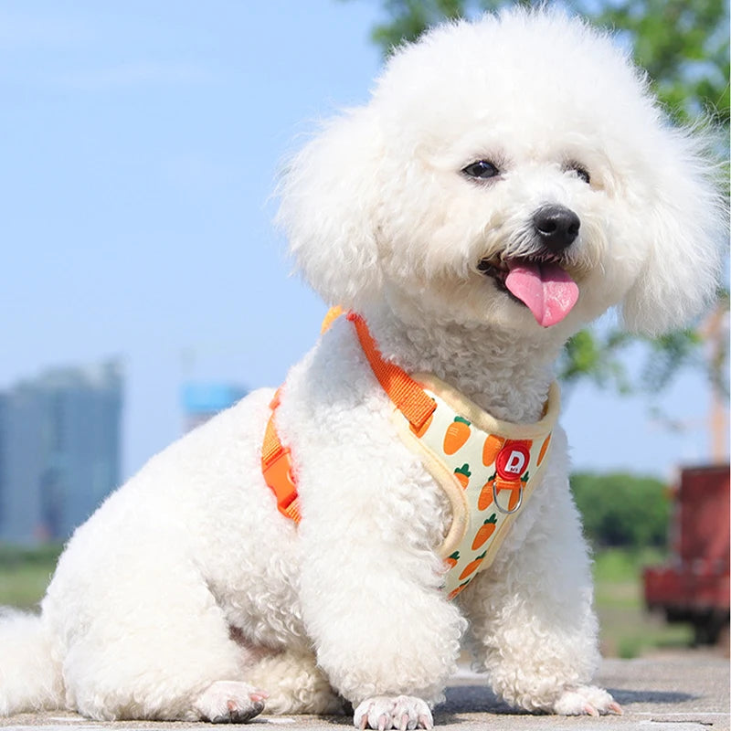 Strawberry Print Dog Harness and Leash Set