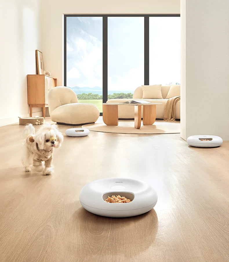 Dispensador automático de comida para mascotas con 6 compartimentos y packs de hielo
