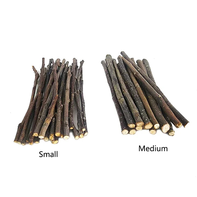 Bâtons de Mâche en Bois de Pommier Naturel pour Petits Animaux