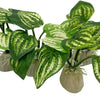 A set of realistic plastic plants with secure bases for aquarium landscaping.