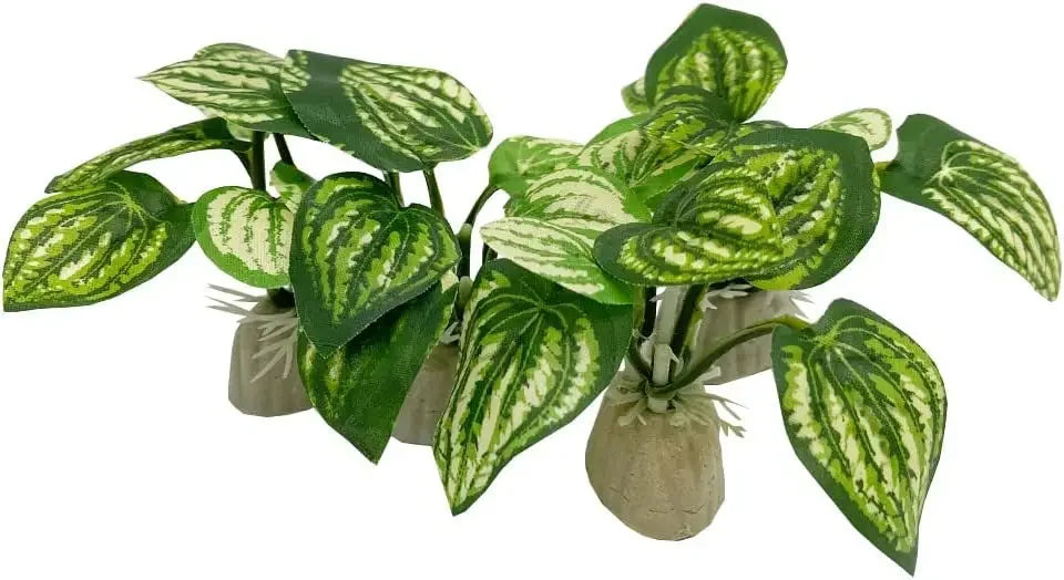 A set of realistic plastic plants with secure bases for aquarium landscaping.