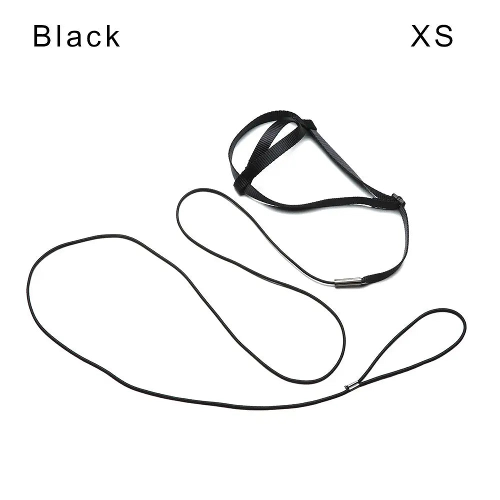 Black comfortable bird harness with adjustable flight leash