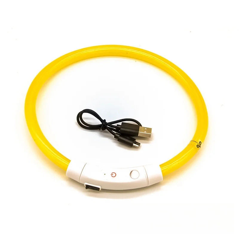 USB-aufladbarer LED-Hundehalsband