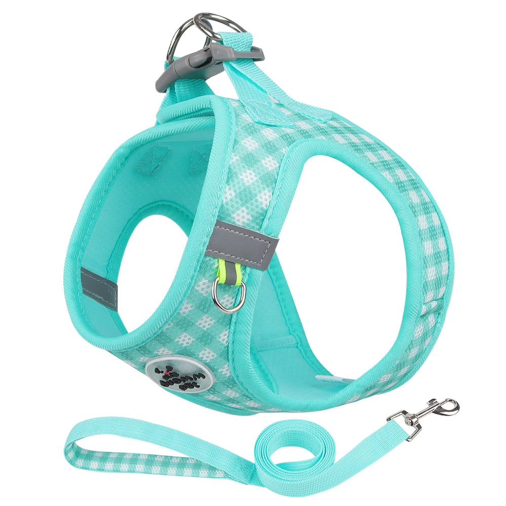 A light blue plaid pet harness with reflective strips for small dogs and cats, shown with a separate leash.