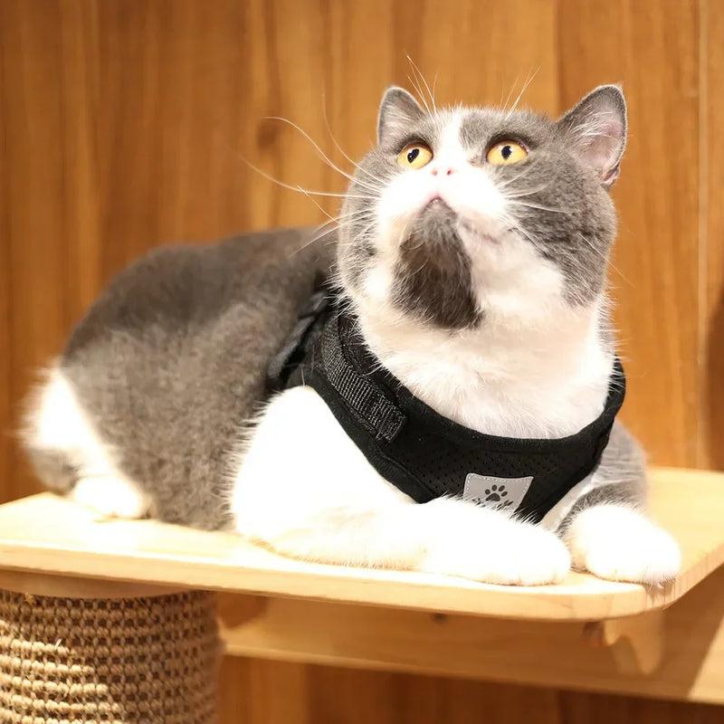 Reflektierendes Netz-Hundegeschirr & Leinen-Set für Katzen
