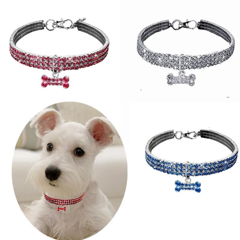 A white dog wearing a sparkling red and silver rhinestone collar with a quick release buckle.