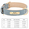 Personalisiertes Leder-Hundehalsband mit graviertem ID-Tag