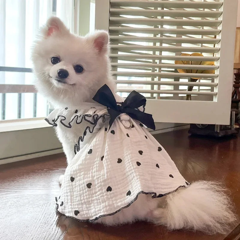 A fluffy white dog wearing a summer heart print dress with a black bow sitting on a wooden surface.