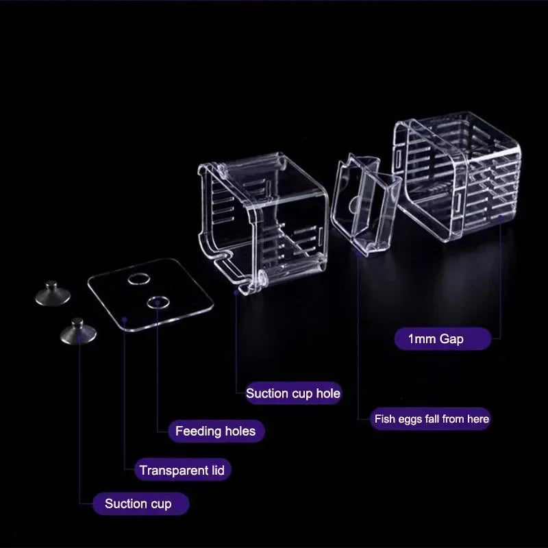 Acrylic Fish Breeding Isolation Box with Double Compartments