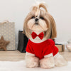 Un perro Shih Tzu de color beige claro vistiendo una pajarita roja y un suéter rojo, sentado sobre una alfombra blanca.